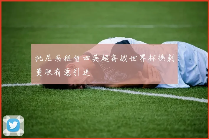 托尼或租借回英超备战世界杯热刺曼联有意引进