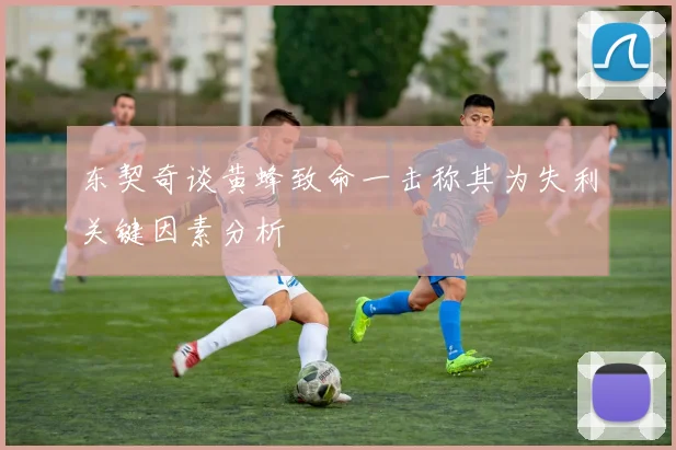 东契奇谈黄蜂致命一击称其为失利关键因素分析