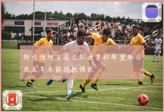 斯内德坦言荷兰队世界杯希望渺茫近五年未能战胜强敌