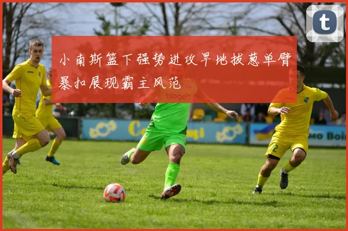 小南斯篮下强势进攻旱地拔葱单臂暴扣展现霸主风范